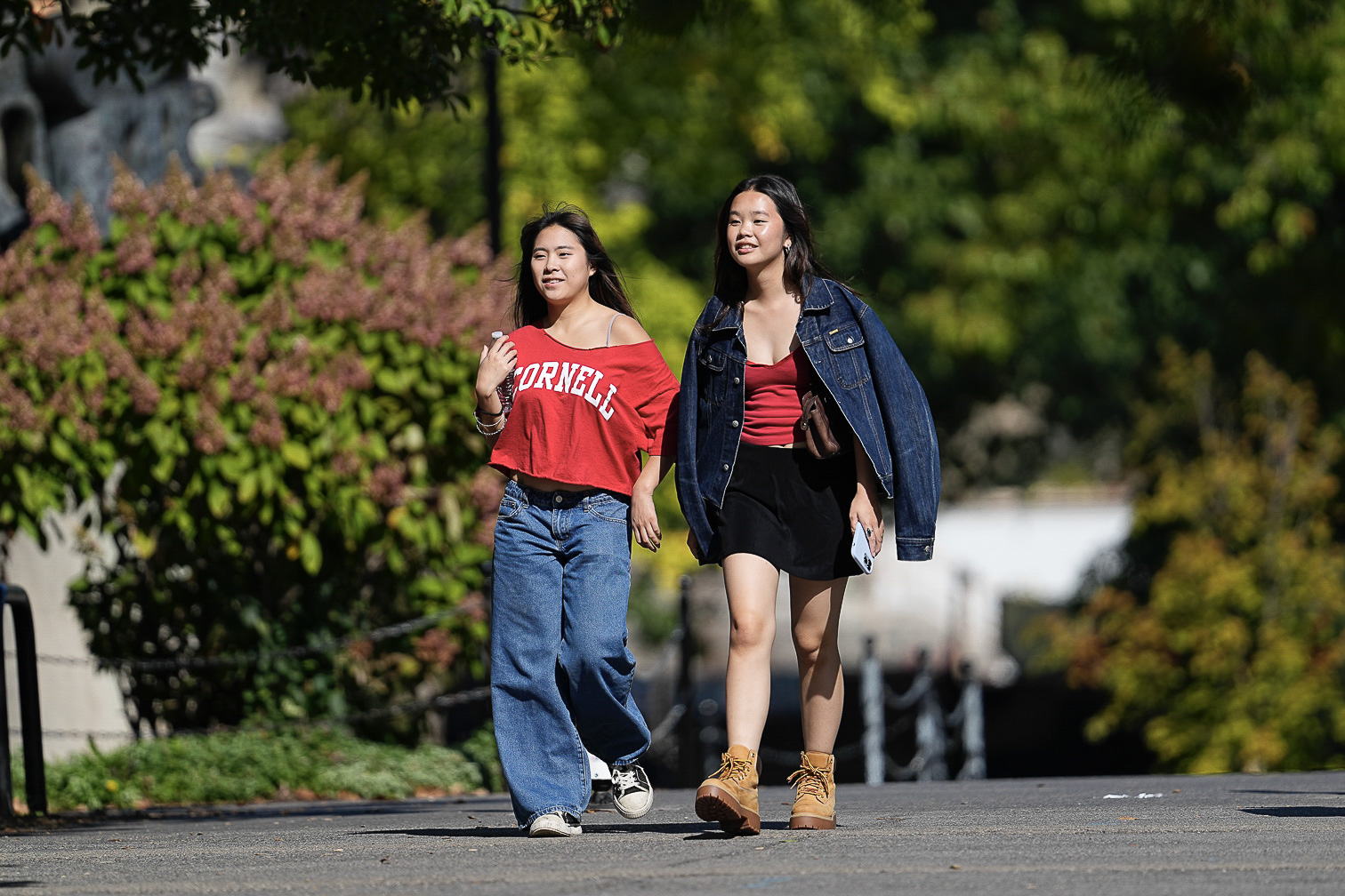Cornell Homecoming 2025
